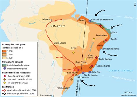  La Révolte de Vacina: Un Moment Pivotal dans l'Histoire du Brésil Impérial face à la Fièvre Jaune