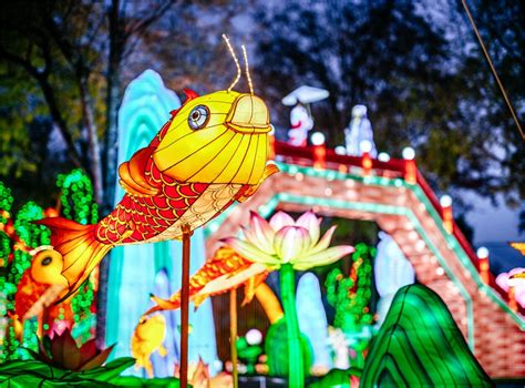  Le Festival International des Lanternes de Carcassonne: Une ODE à l’imagination et un tremplin pour la renommée internationale de Zinedine Soualem